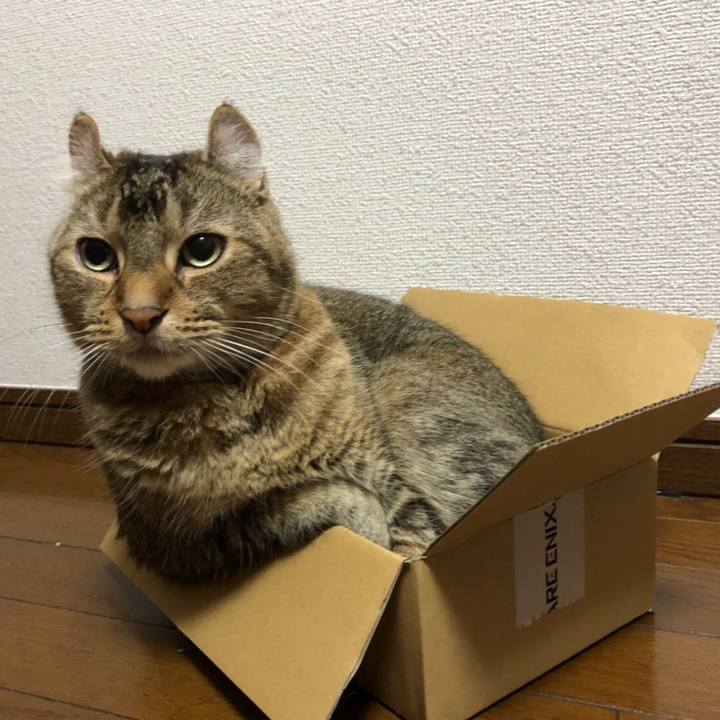 E4447a17 aa91 4f9f 86ed 5fbc3b5c8161 1601166576994