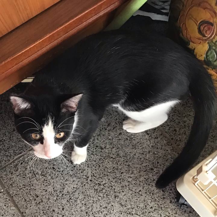 E444ae21 efff 451b a290 6a97a96c9418 1636782064660