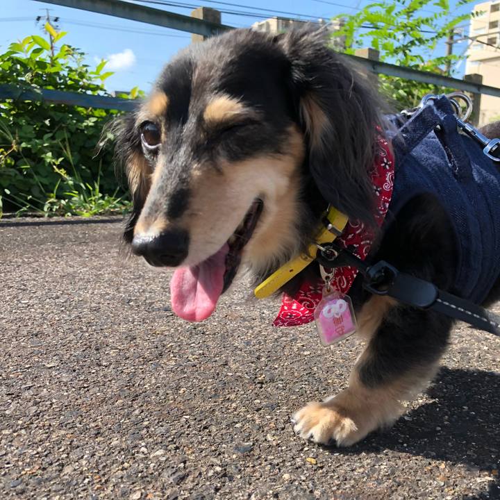 E444db01 7d68 4744 be20 4a634a5505b6 1601511821398