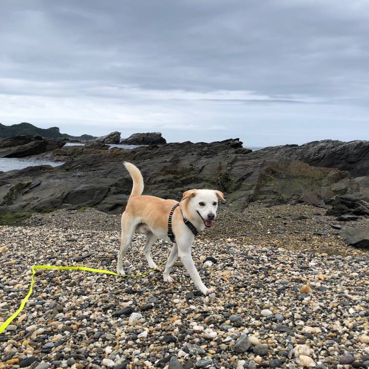 E44505d7 67f4 40a5 a927 0e97a37fedd2 1627473514398