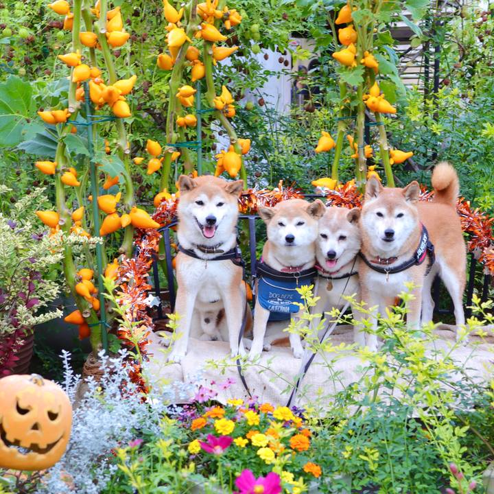 E44508fc 8c25 488b 9800 97a7ab13eca7 1698160014121