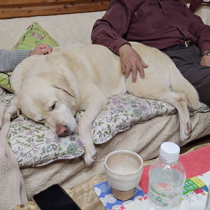 E4451b6f 5b47 457b 8329 0d611c049ecf 1734260451569