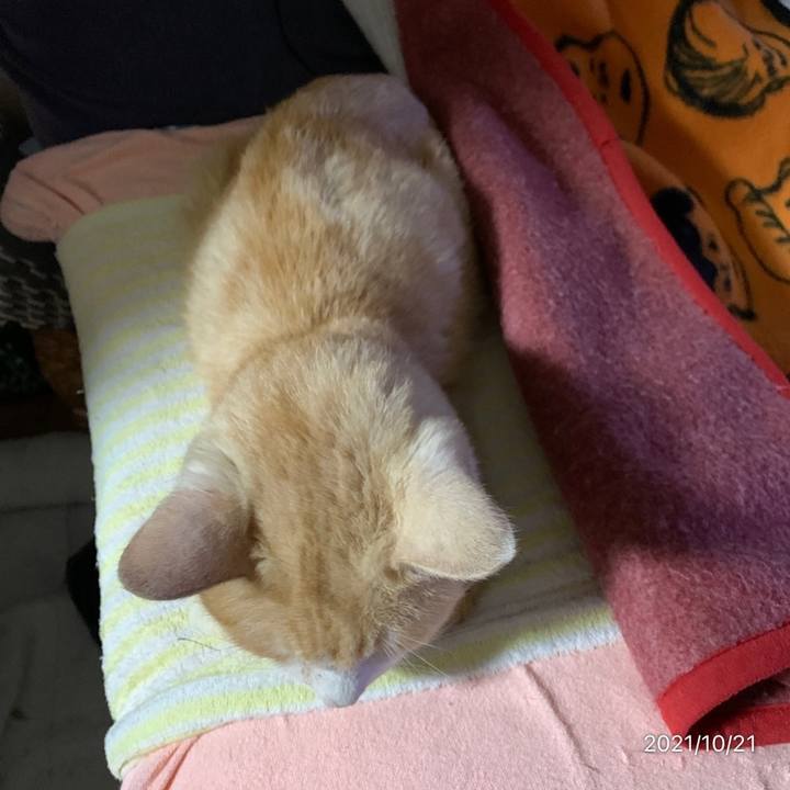 E4452559 075c 4085 b2e0 e1a6c33fc0b3 1634769086592