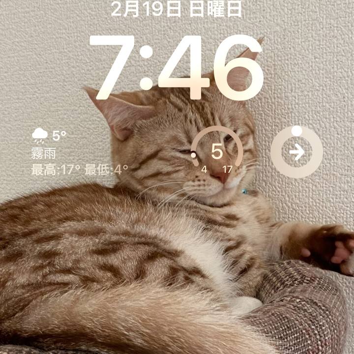 E4453fc1 1b07 49fd 9f5e e57f71746371 1676760549025