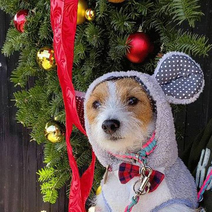 E4454402 28fe 47ff 8cf4 1e3a5ea72a19 1577069516548