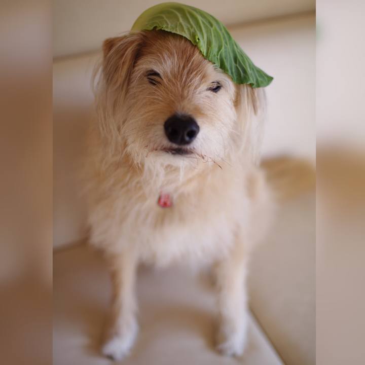 E445882c 339c 4ce9 87bc 22de39d78361 1616722029166