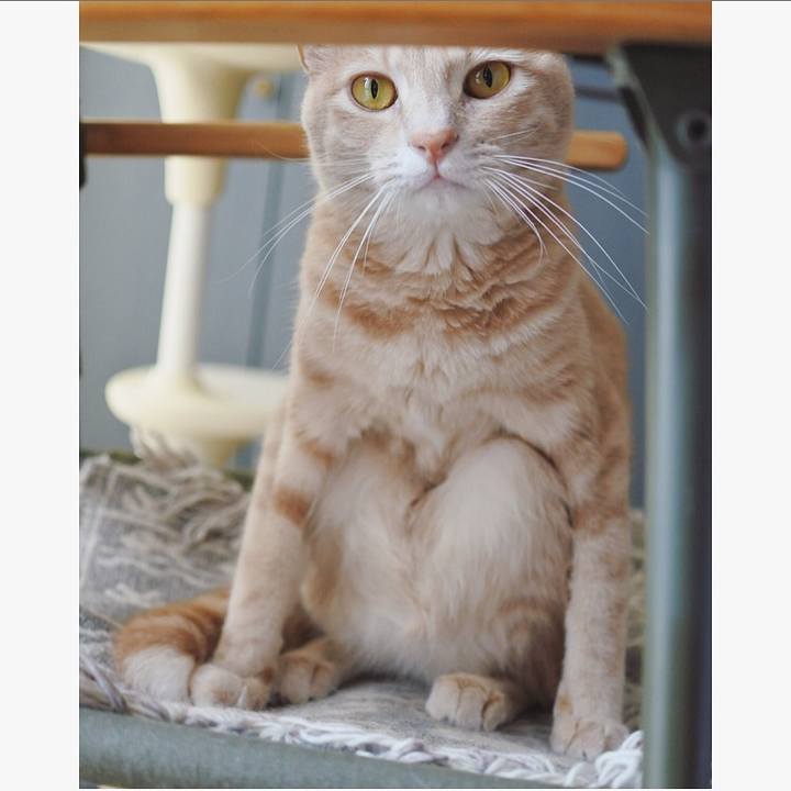 E445b9e4 dd15 4ce5 84f8 2962d3faf540 1594604695629