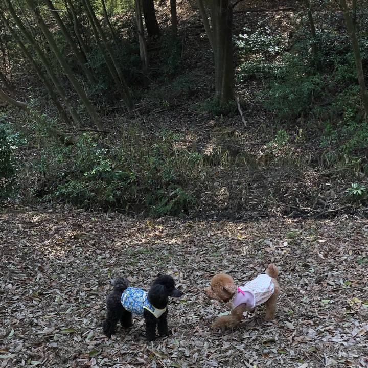 E445bb3f 10bc 4e89 9db5 ea6377c384cd 1586529788745