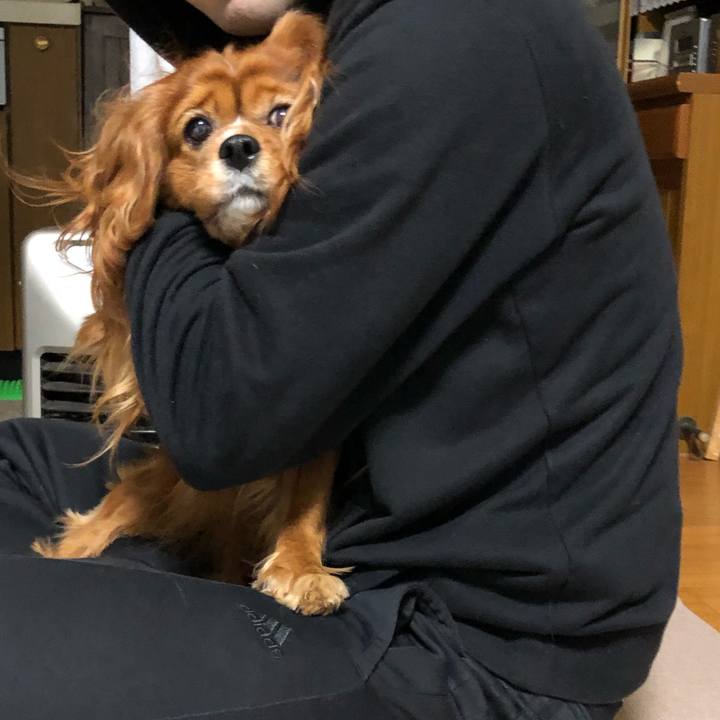 E44645f0 ff8e 4a40 b2ee f097d71ce88f 1646173448514