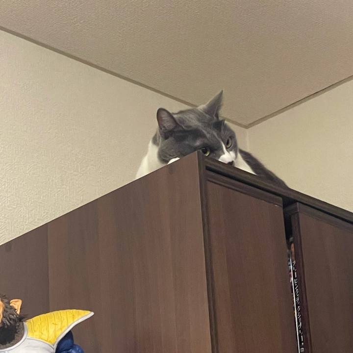 E446b127 c63b 4679 b9c4 c3227733633b 1630924381861