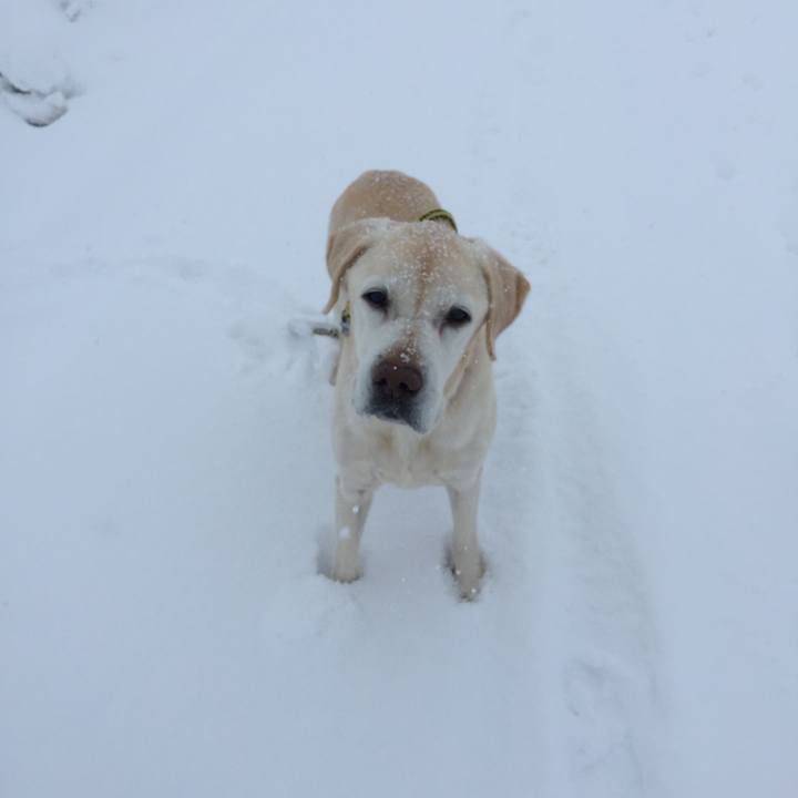 E446c314 6dca 4a97 81f2 304261ba52b2 1517977829927