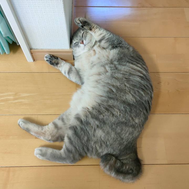 E446ce57 ed76 40ba b464 f74b90389bfa 1633594103843