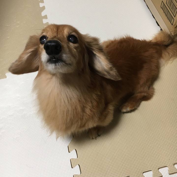 E446da78 b07c 46a6 aedc c85a9b4b8eb4 1630501967873