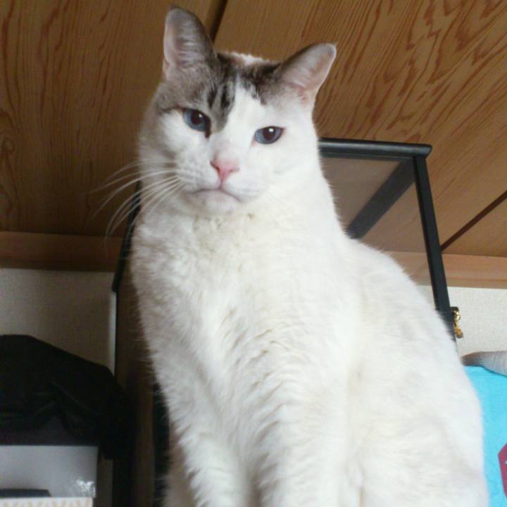 E446e6d8 21dd 41db 8a3e 1a4db7e56bce 1612971475409