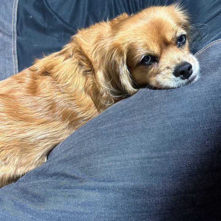 E4472302 c14e 4e8b 8869 bc79eceb7ca7 1700601511481