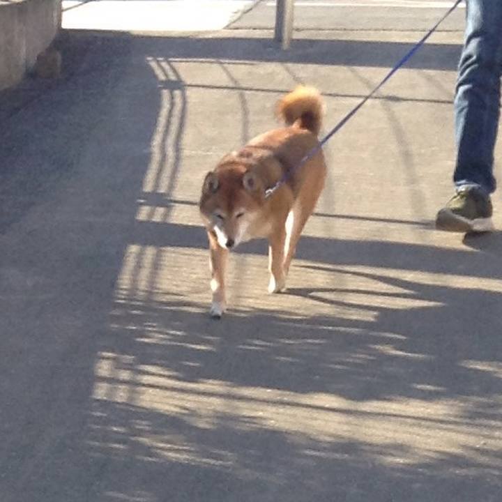 E4475576 bfdf 4ee0 9008 ebbc7a461670 1546588836995