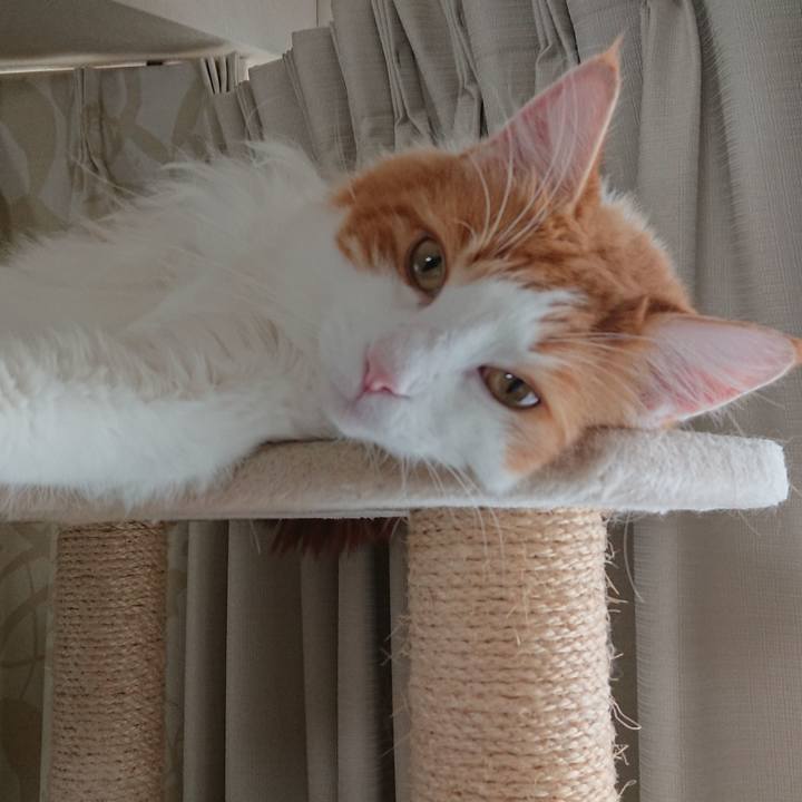 E4475846 7f97 4191 86ae ca8678eb94e2 1541382005835