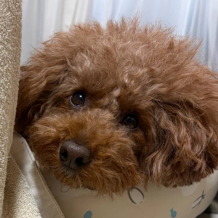 E4476212 b2d1 4cae 9084 708e1e6934a1 1768519063880