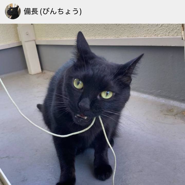 E447a65d 30e3 4974 964f 53b5691abb3f 1761794064477