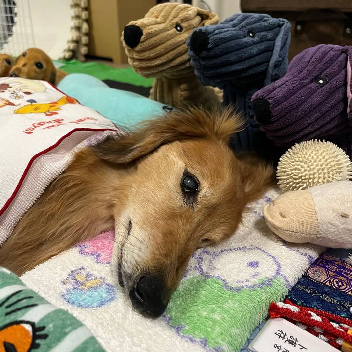 E447b148 72b7 484a 8e8f e130e1df12be 1685694195046