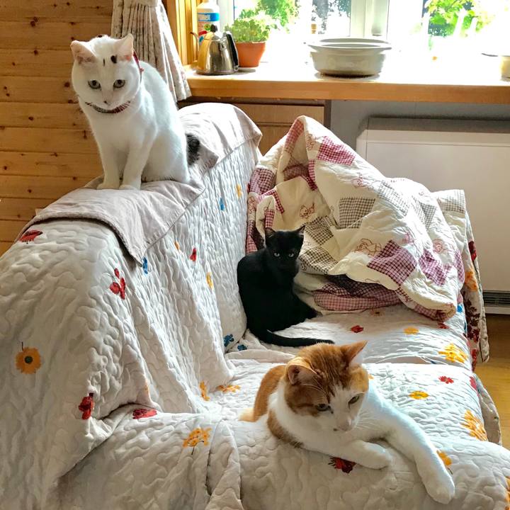 E447d7ec 6881 4546 b95a 2a704e0cab17 1566108442451