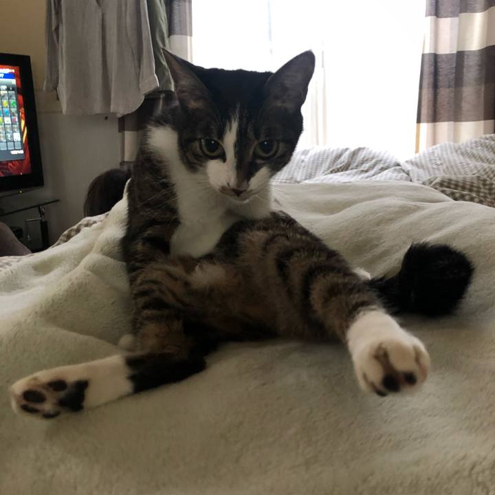 E447df4f dd07 433a b792 02934ca767c8 1588650602158