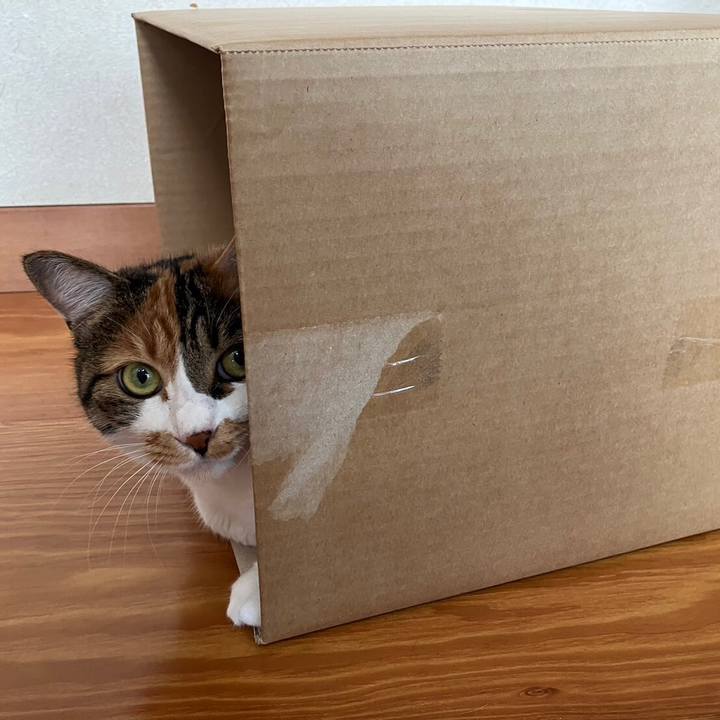 E4480086 0f4c 4ba0 b47a 572215a49bcd 1695778089169