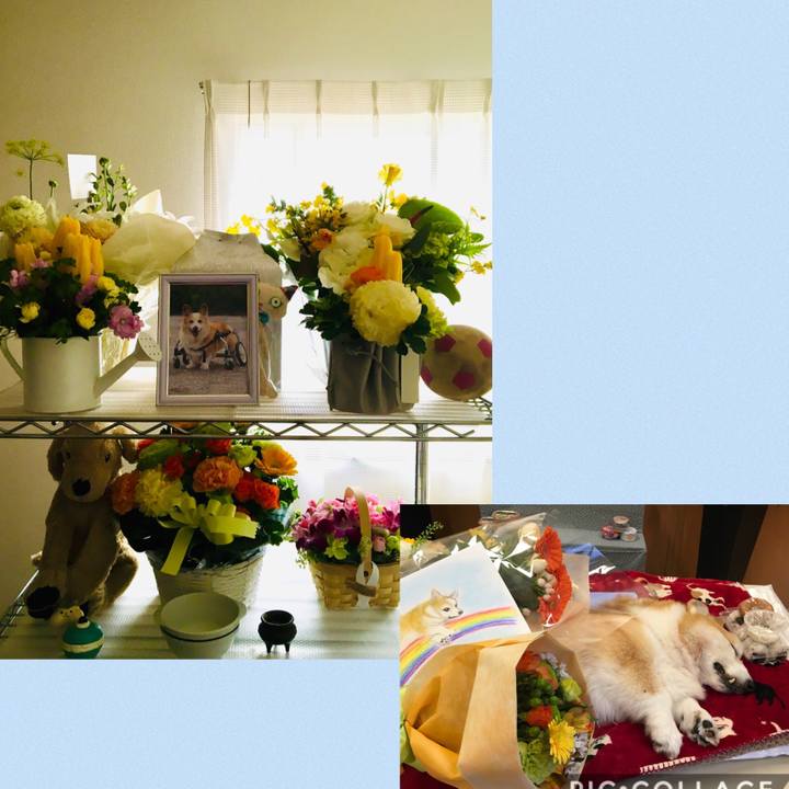 E44841e0 76d9 4131 aa23 b80124e923a4 1582766783970