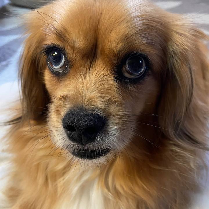 E4484299 a490 48c5 a706 825c34955111 1623965563825