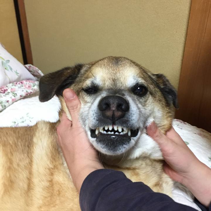 E4487a71 5518 4f5b 8a92 a1ffd5ac2441 1585572914745