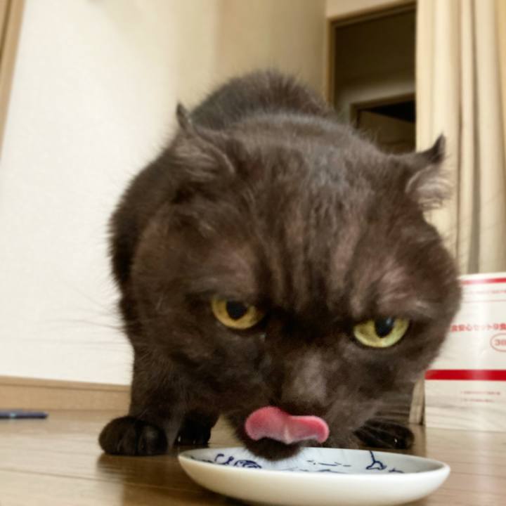 E4488b54 24dc 468d a032 a046e5839f20 1631344845536