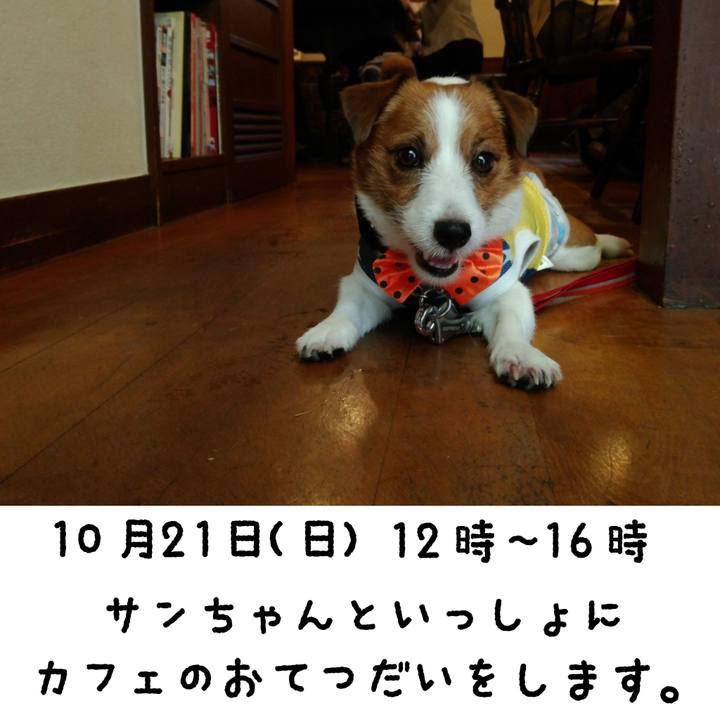 E44897fb 3e36 4f9d 8729 99e8c7fb240e 1539779199359