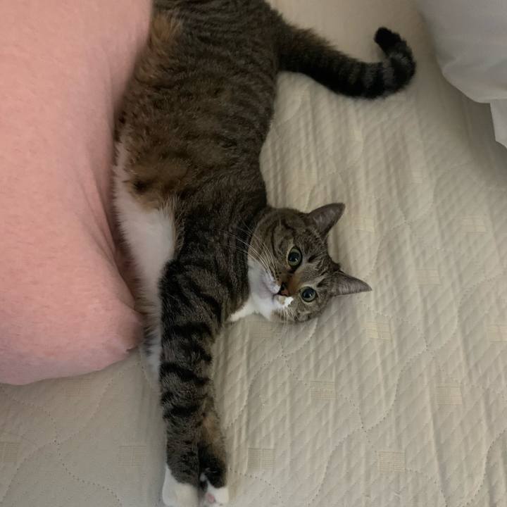 E448caca 94e9 4d89 88d3 05d66d7e4b79 1626741831759