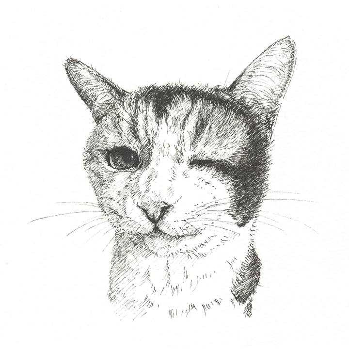 E448d6ae 3104 46c8 9fcf f3c4299103bc 1562506520669