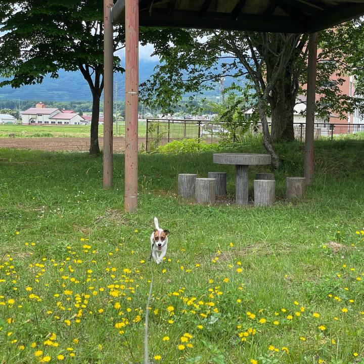 E448e233 fc7c 4390 a345 dfb031a9d127 1656909429469