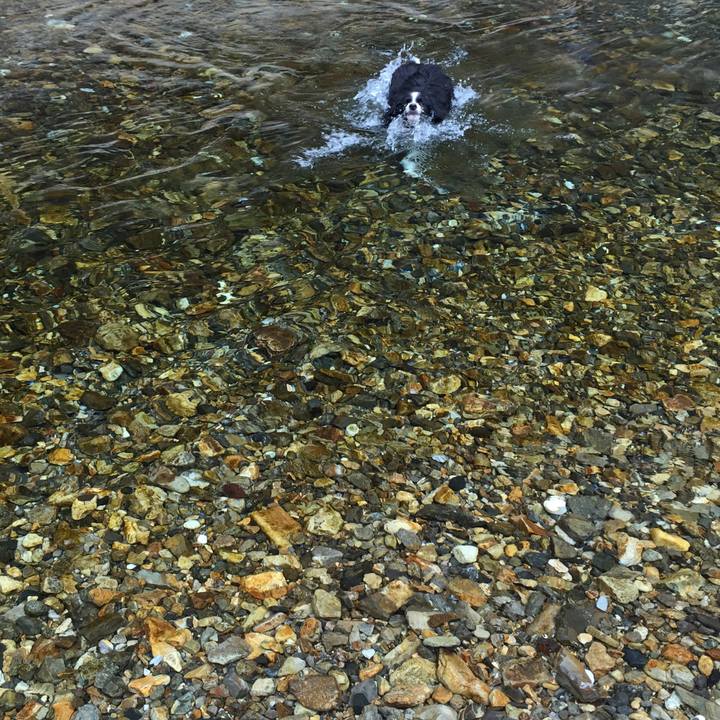 E448e56b d52d 4252 84ea accdb1dac6be 1534748809681