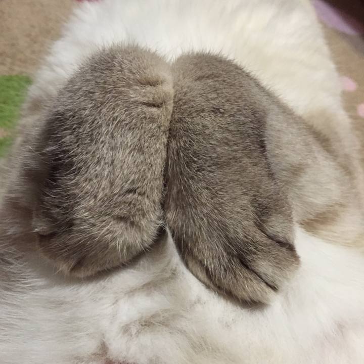 E448e6de 7f95 48ef 9cef 64b6414138a1 1540292502080