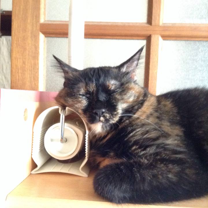 E448fcbc 2acf 4e11 9d09 34aa4ae0cf8c 1534927325227