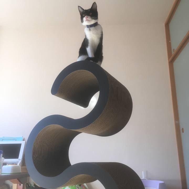 E4491bd8 dd0d 466a 9cc8 97821642cbde 1516274920291