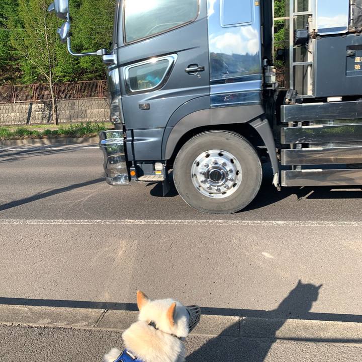 E449381d 64d4 442d 8854 3e782b945cf1 1622061625677