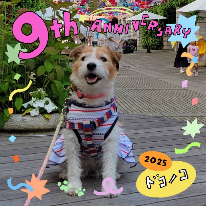 E449760b feb6 4c85 9d12 65b63b2ee313 1749356784646