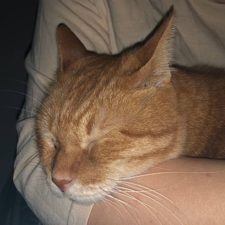 E449aa40 cfda 48f5 8c0a 104e05f6d878 1701590757961