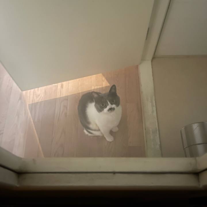 E449ac00 bf09 4b63 926d ae21b2aaca69 1711080374017