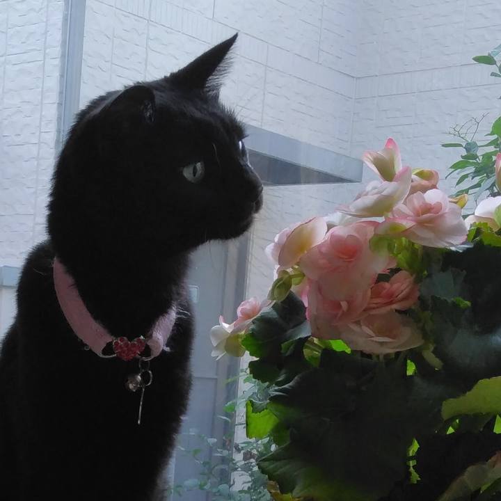 E449b6ca 3980 4d9b b166 963eca855bcf 1762646929705