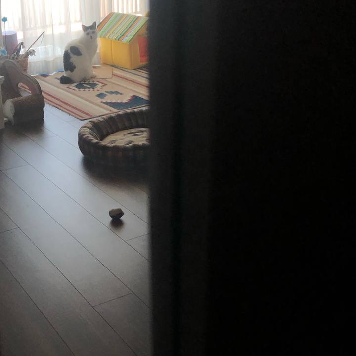 E449df98 9b4b 41a5 93da 09cdb64b1ea0 1582760078152