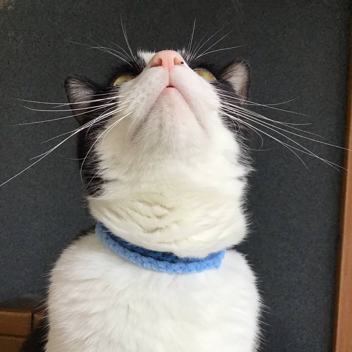 E449ecbd ca4b 46fc 8565 54cd043820df 1730519277523