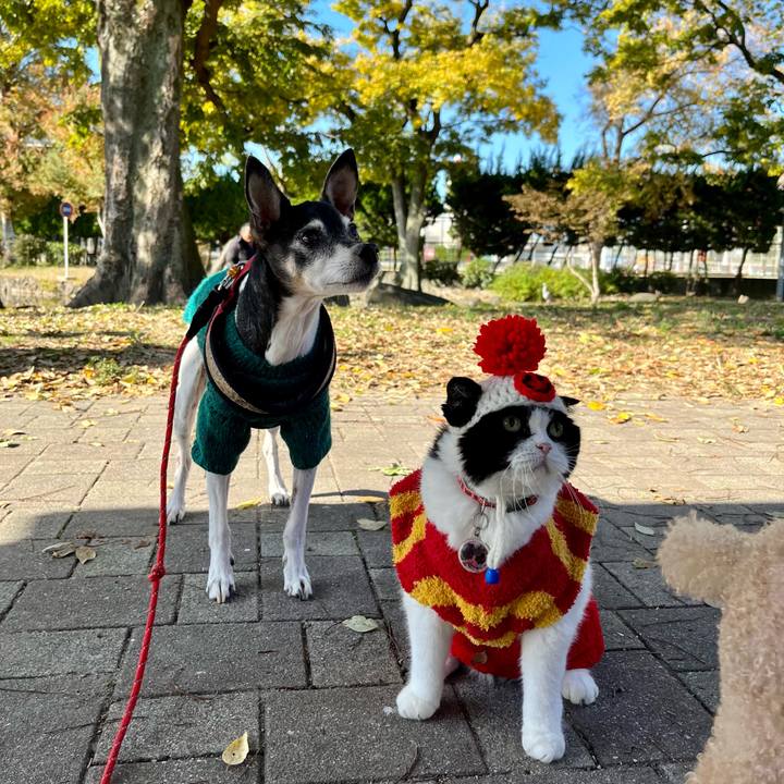 E449f849 3ae5 49c1 8ec0 bb0cb6d16205 1638069036973