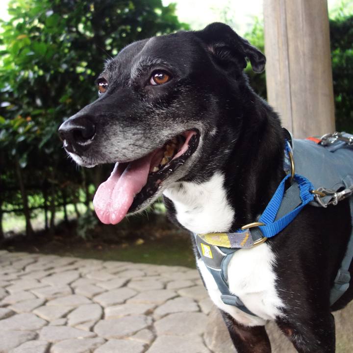 E449fd0f a5a2 4b66 9d65 cdcfa50de907 1749431061324