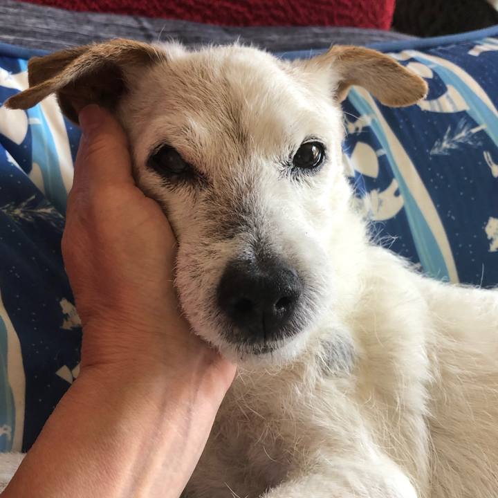 E44a04ee 4bd5 4c5e 8aad 0abc94928f55 1653121655649