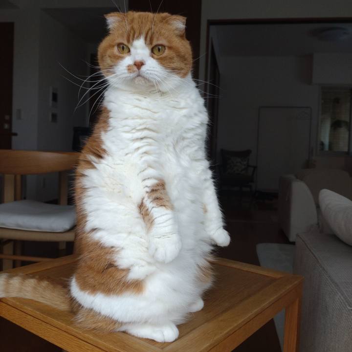 E44a2c65 e108 4888 a23a c220a0aede78 1771745066240